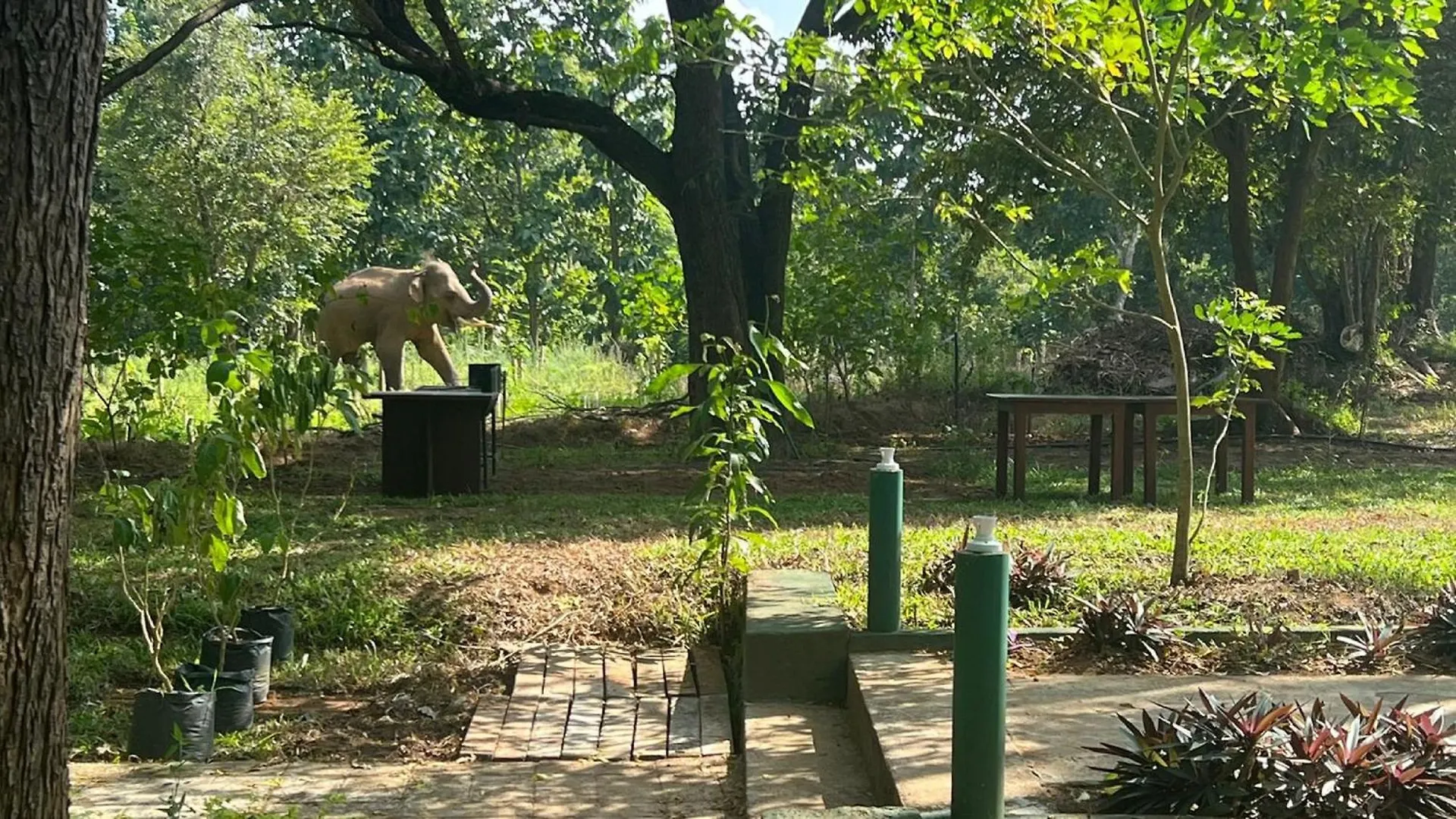 Sigiri Green Village Sigiriya 0*,